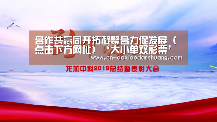 大小单双玩法