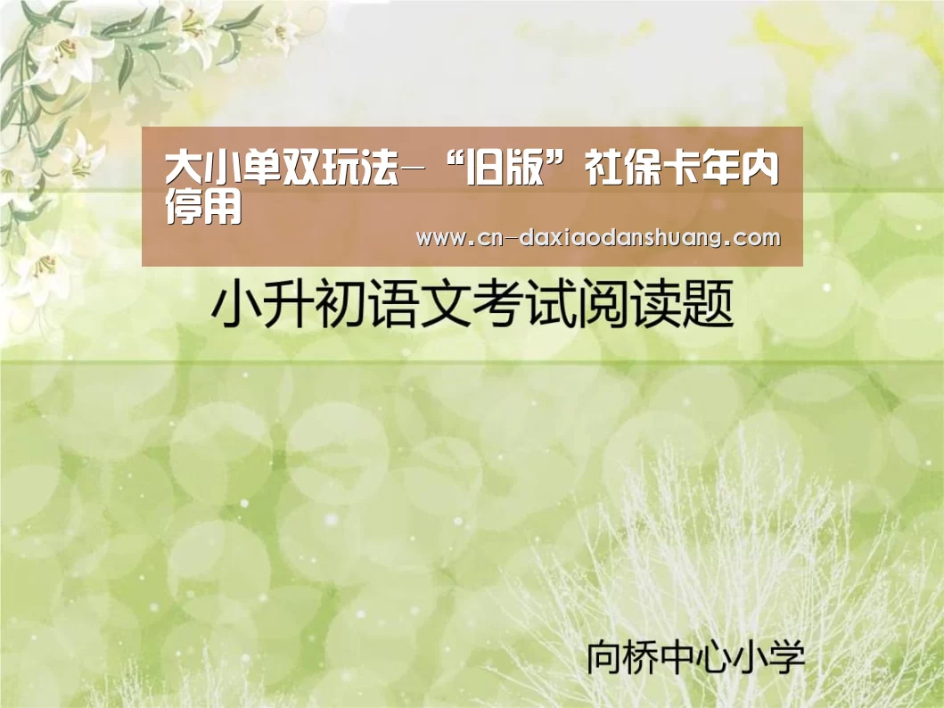 大小单双组合