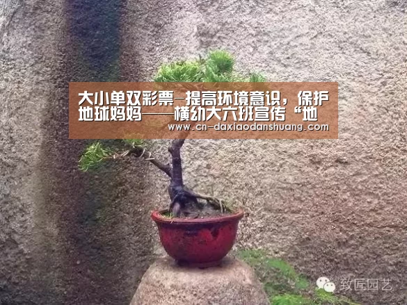 大小单双彩票-提高环境意识,保护地球妈妈——横幼大六班宣传“地球日”活动(图3) 大小单双组合