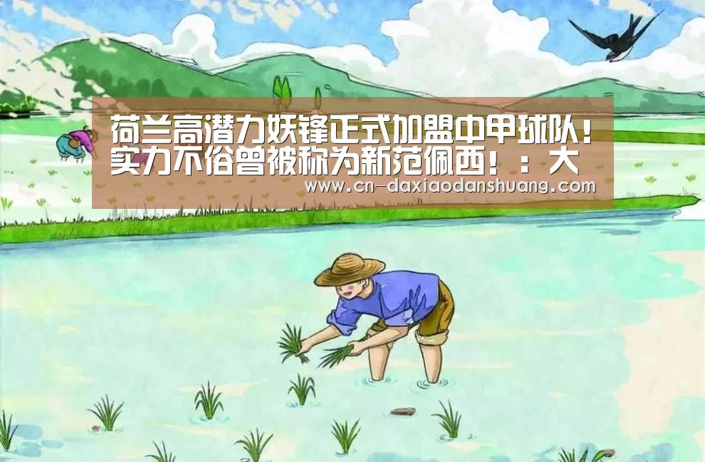 荷兰高潜力妖锋正式加盟中甲球队!实力不俗曾被称为新范佩西!:大小单双(图1) 大小单双玩法