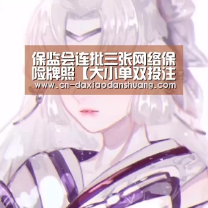 大小单双