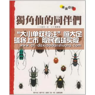 “大小单双投注”恒大足球将上市 股民看球买股票(图1) 大小单双玩法