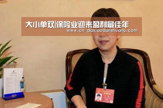 大小单双|保险业迎来盈利最佳年(图2) 大小单双组合