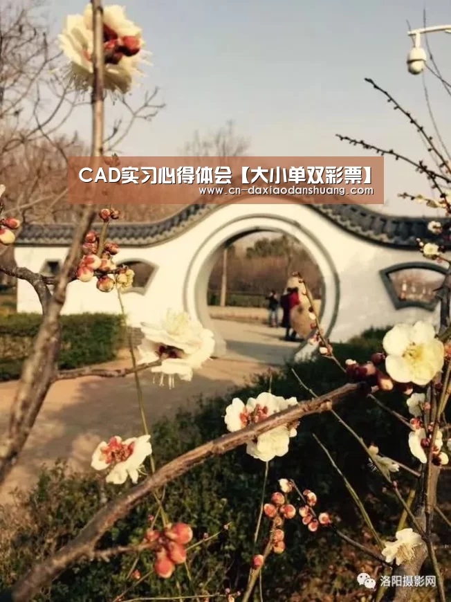 CAD实习心得体会【大小单双彩票】(图1) 大小单双组合