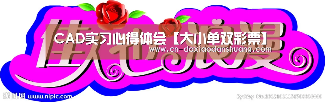CAD实习心得体会【大小单双彩票】(图2) 大小单双彩票