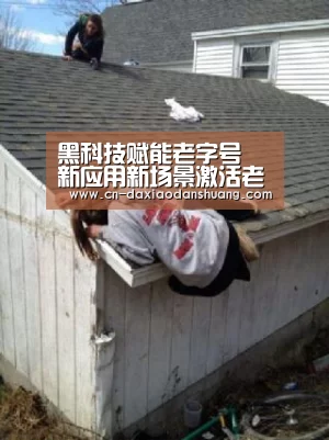 黑科技赋能老字号 新应用新场景激活老底子新活力“大小单双玩法”(图3) 大小单双彩票