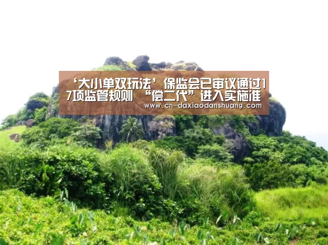 ‘大小单双玩法’保监会已审议通过17项监管规则 “偿二代”进入实施准备期(图1) 大小单双玩法